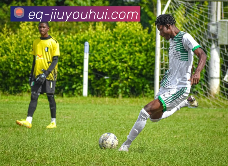 九游会J9官网APP 封面图